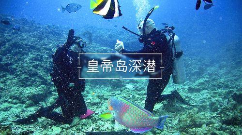 次元喵